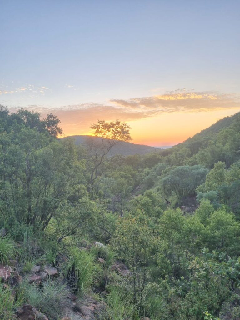 WhatsApp Image 2024 01 26 at 12.29.03