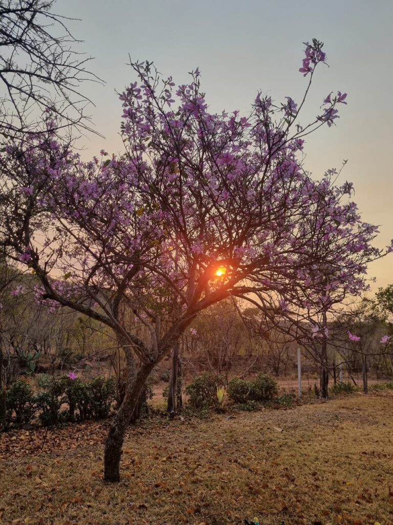 WhatsApp Image 2024 01 26 at 12.29.04 (1)