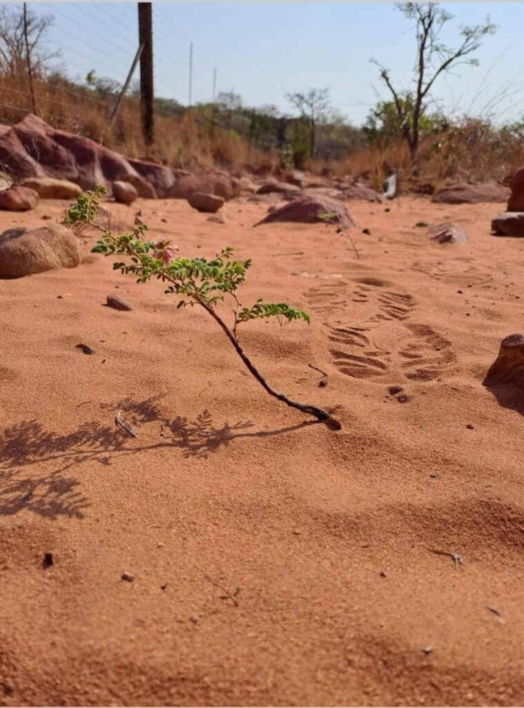 WhatsApp Image 2024 01 26 at 12.29.06 (1)