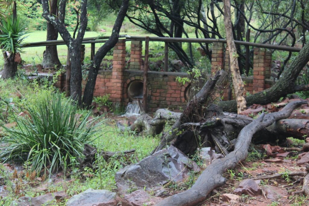 WhatsApp Image 2024 03 05 at 19.49.25 (1)