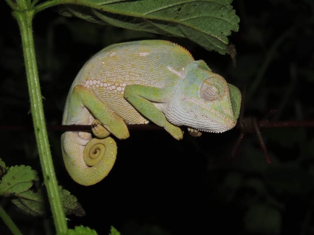 WhatsApp Image 2024 03 05 at 20.33.16 (1)