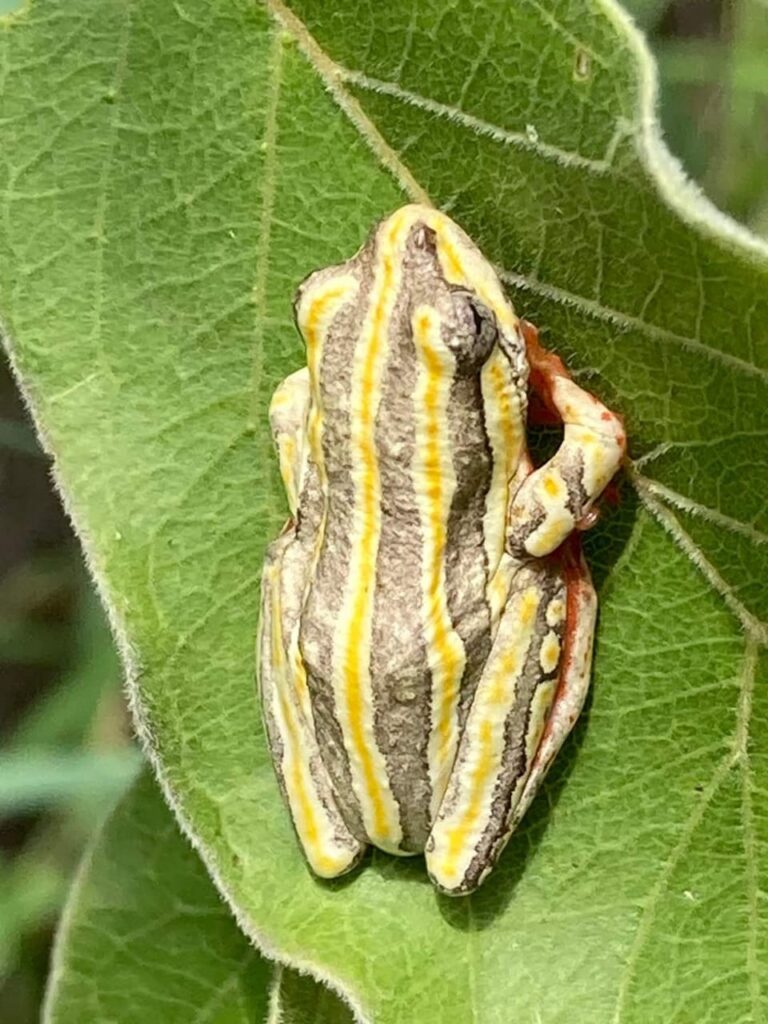 WhatsApp Image 2024 03 05 at 20.33.16