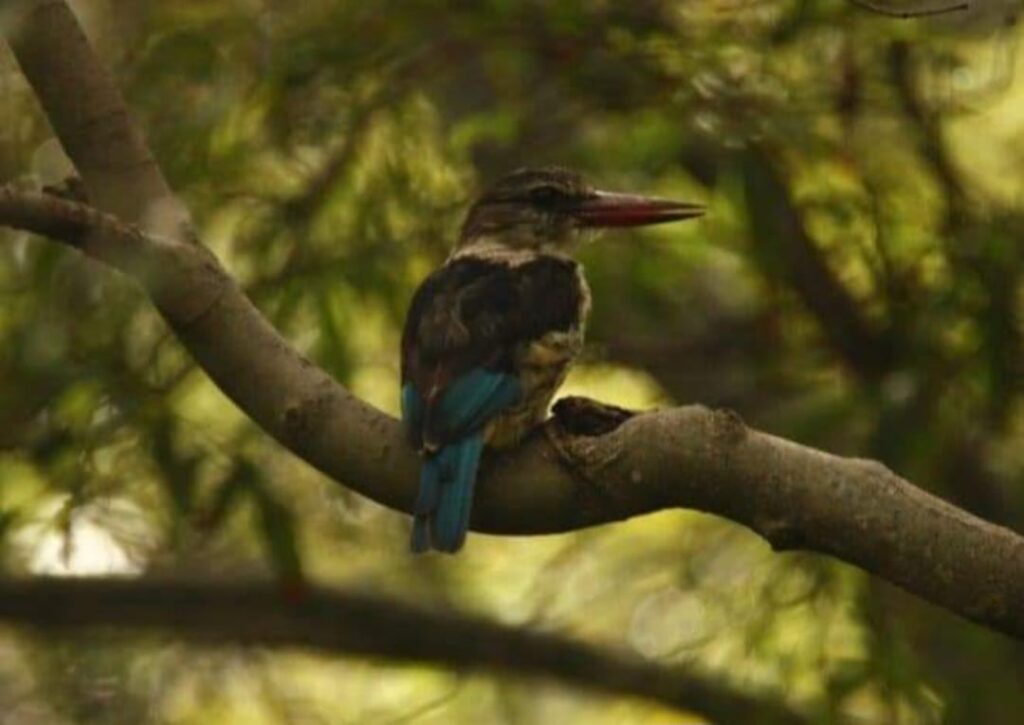 WhatsApp Image 2024 03 05 at 20.33.17 (1)